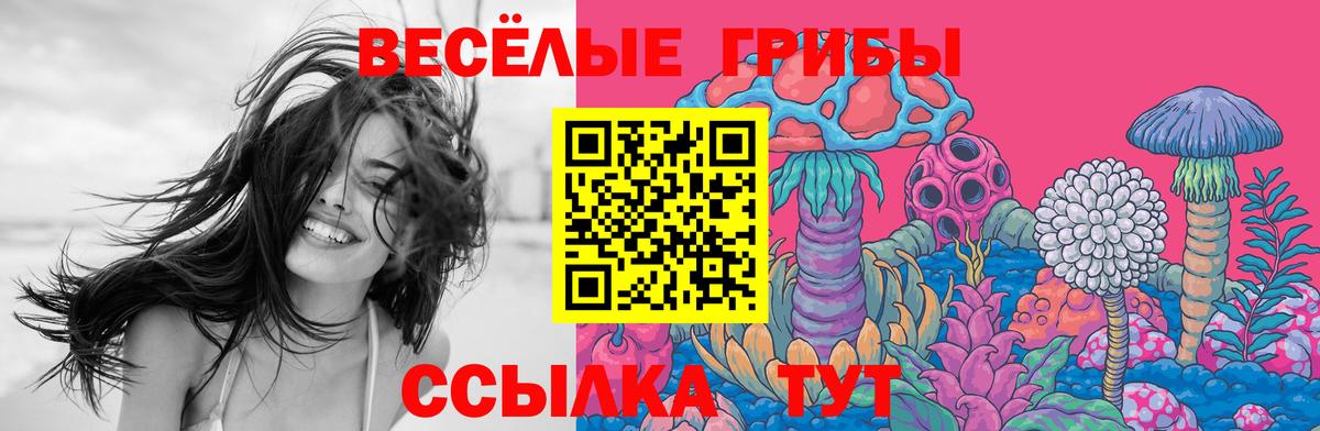 Галлюциногенные грибы GOLDEN TEACHER Богородицк